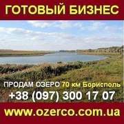 Озеро на продажу. Готовый бизнес 70 км Борисполь.